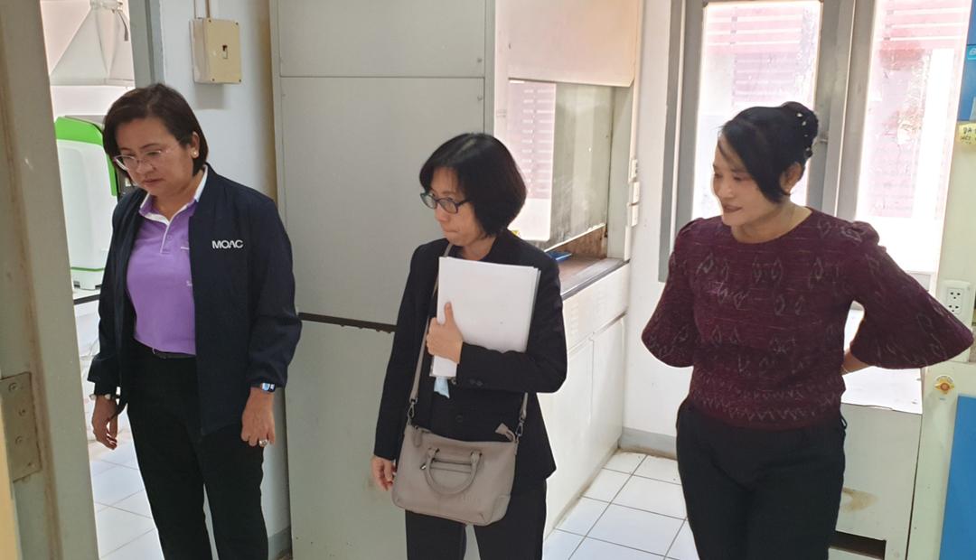 ภาพประกอบที่ 13