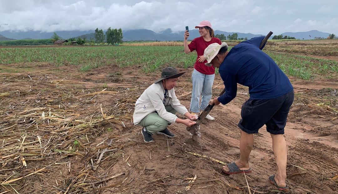 ภาพประกอบที่ 0