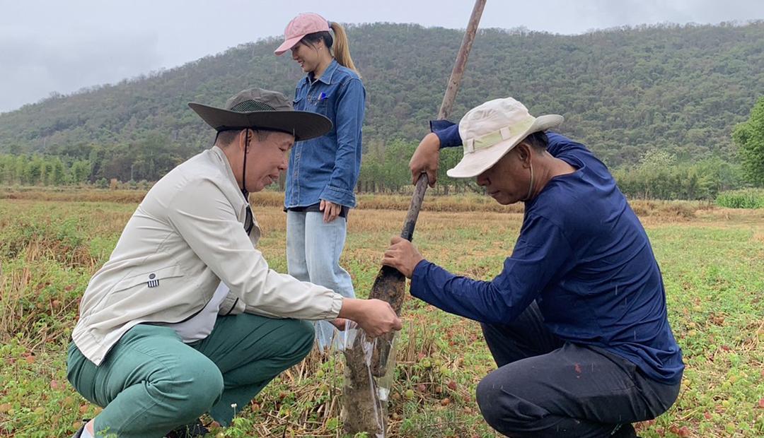 ภาพประกอบที่ 1