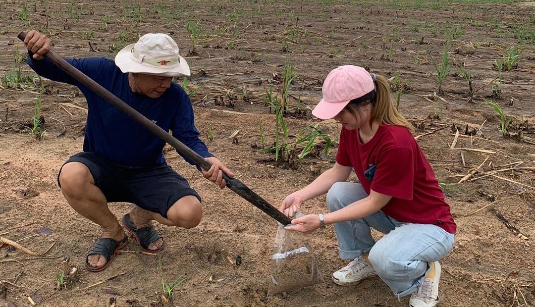 ภาพประกอบที่ 2