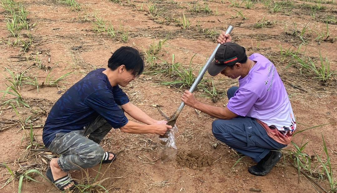 ภาพประกอบที่ 4