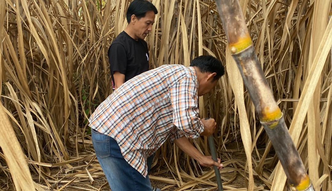 ภาพประกอบที่ 5