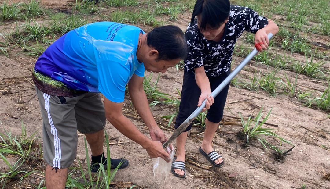 ภาพประกอบที่ 6