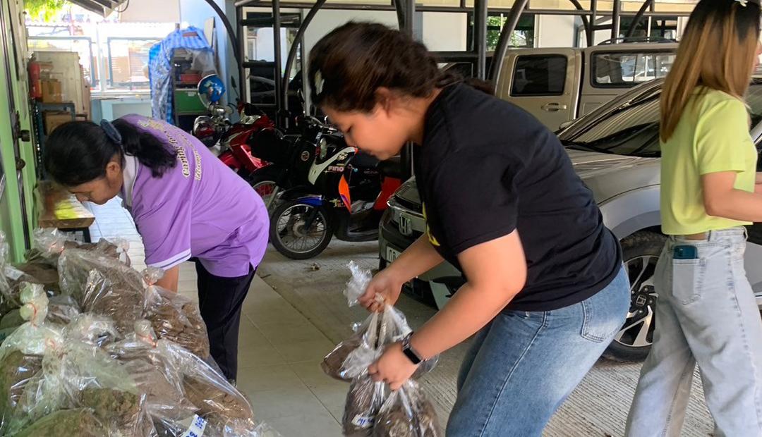 ภาพประกอบที่ 8