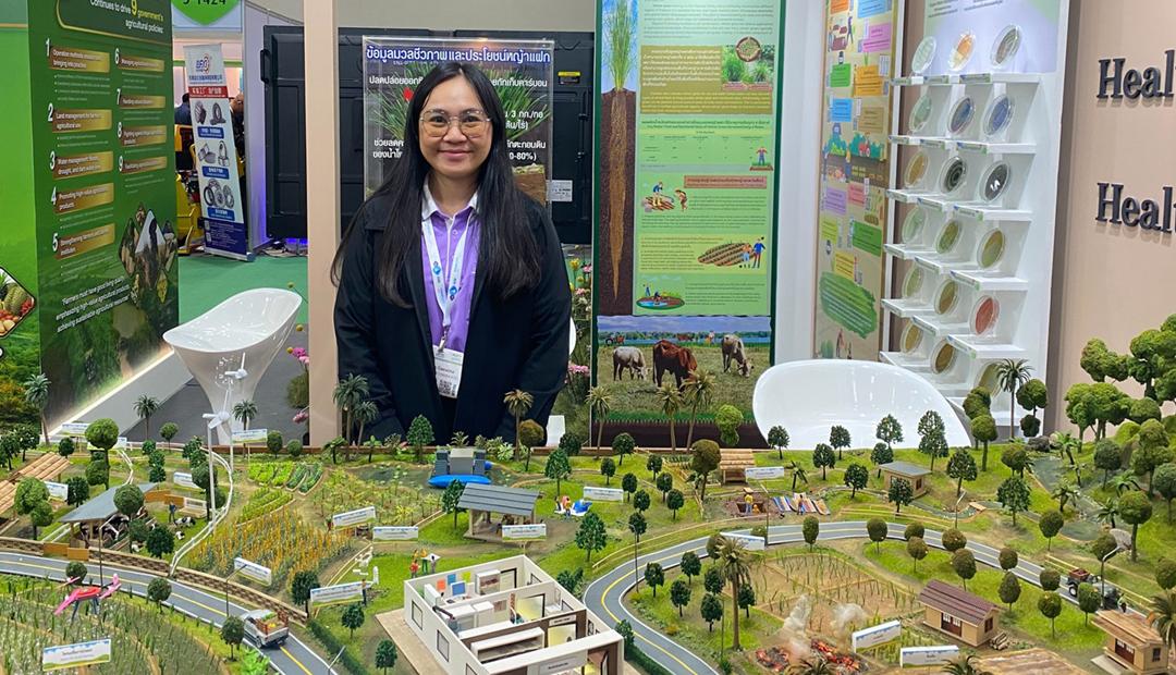 ภาพประกอบที่ 3