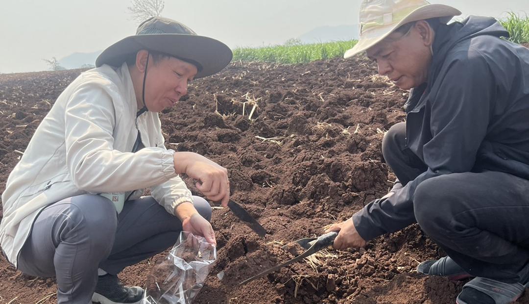 ภาพประกอบที่ 0