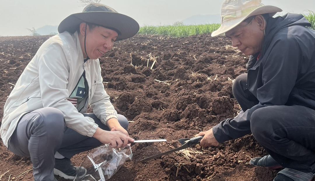 ภาพประกอบที่ 1