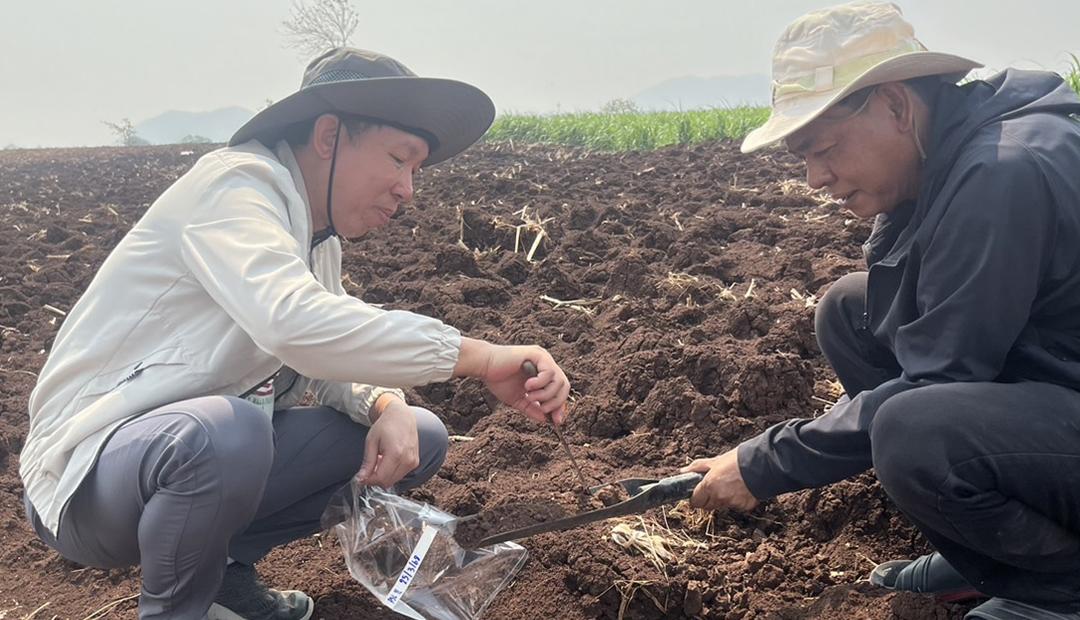 ภาพประกอบที่ 2