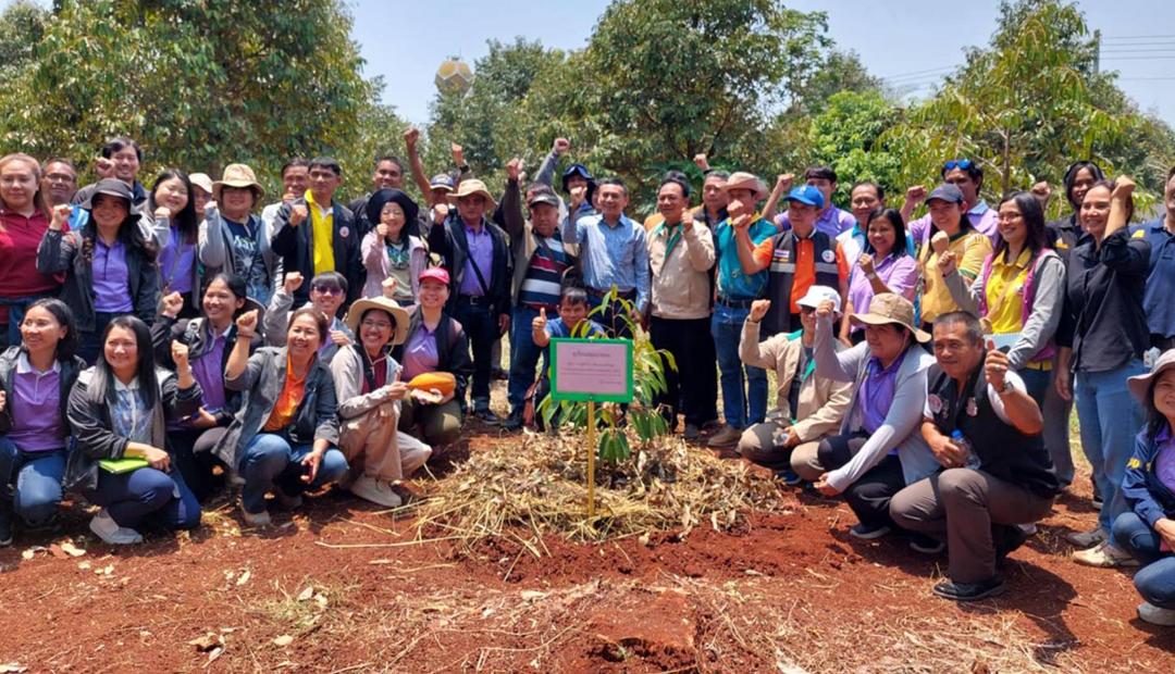 ภาพประกอบที่ 5