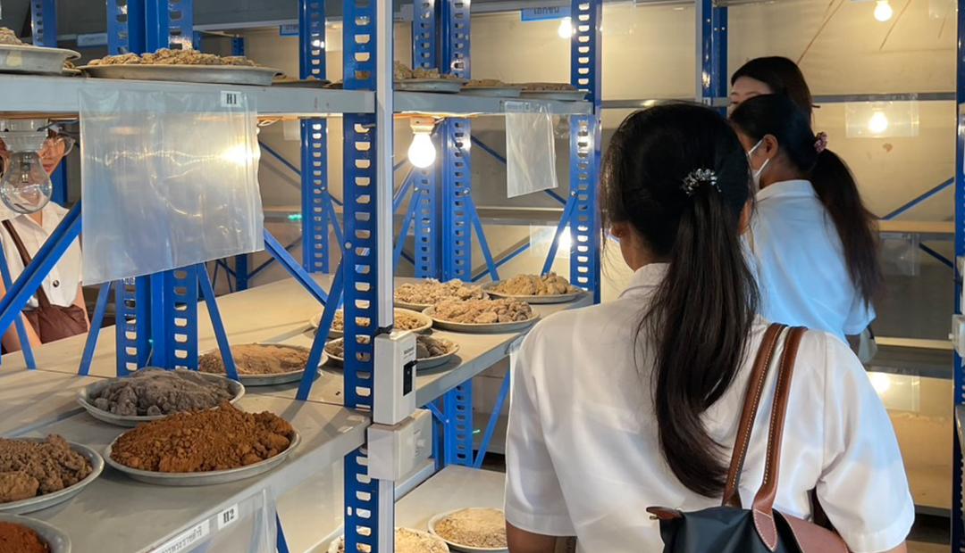 ภาพประกอบที่ 4