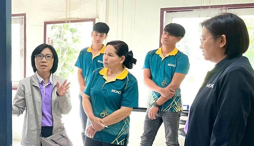 ภาพประกอบที่ 3