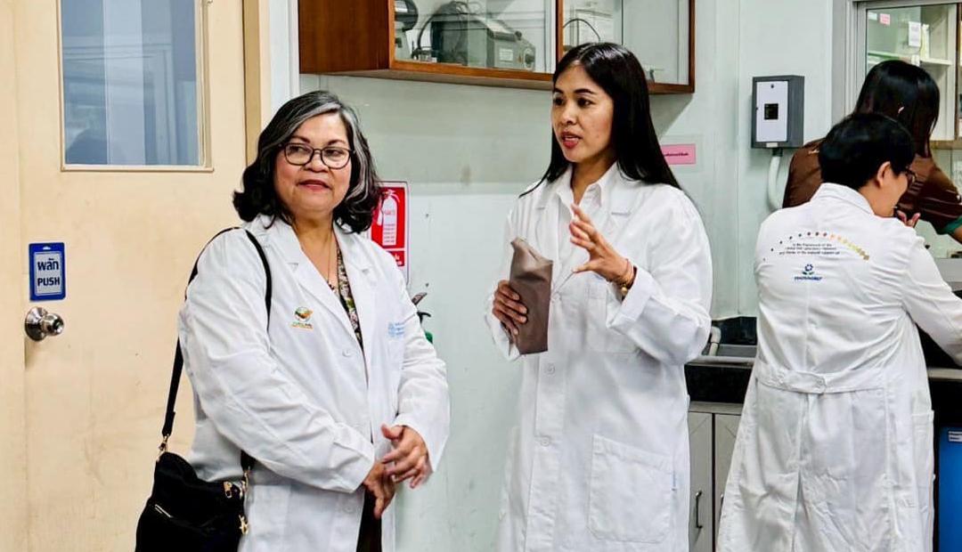 ภาพประกอบที่ 5