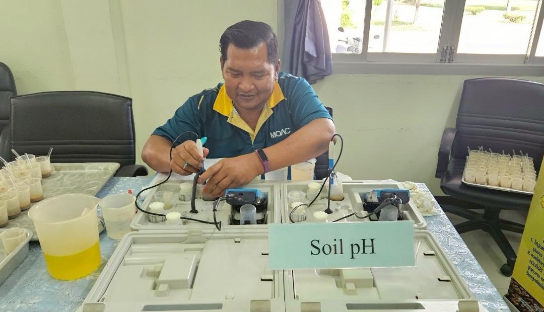 ภาพประกอบที่ 2