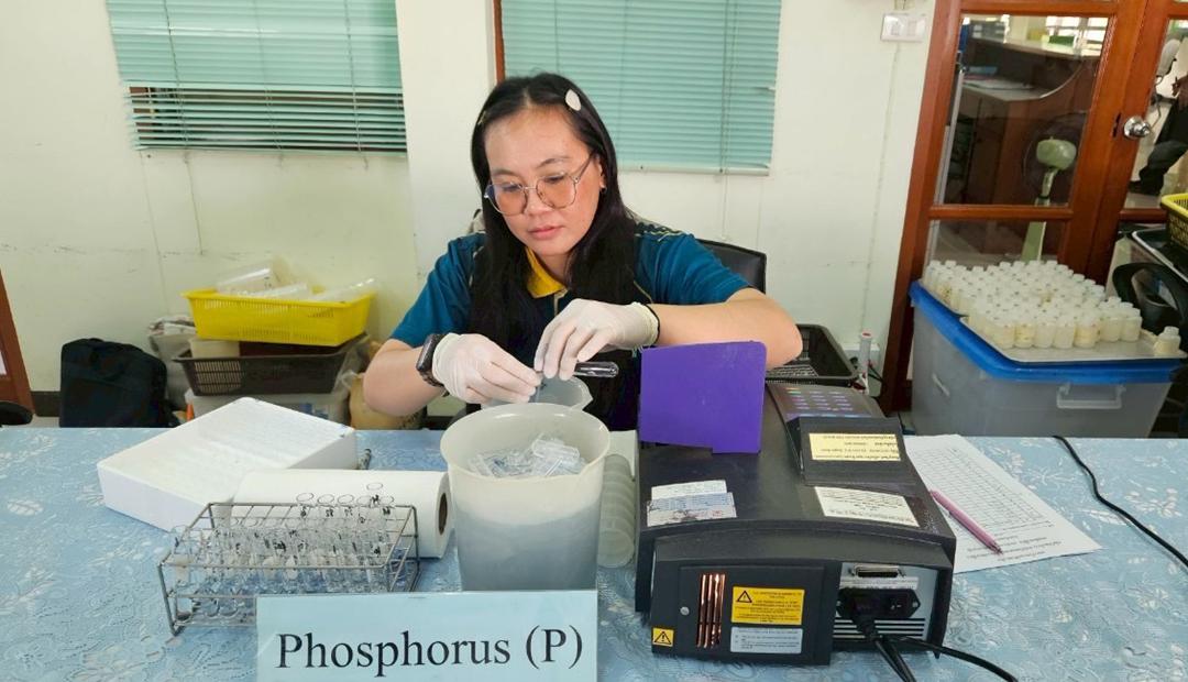 ภาพประกอบที่ 3