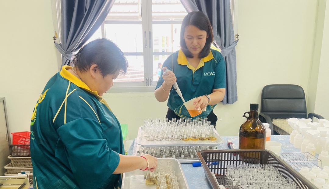 ภาพประกอบที่ 4