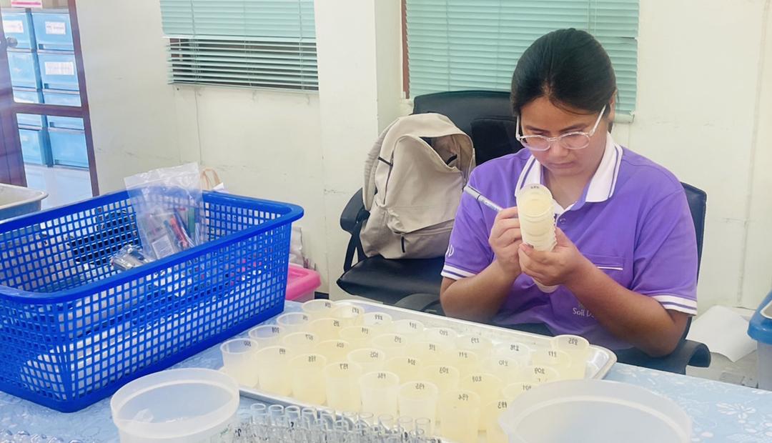 ภาพประกอบที่ 5