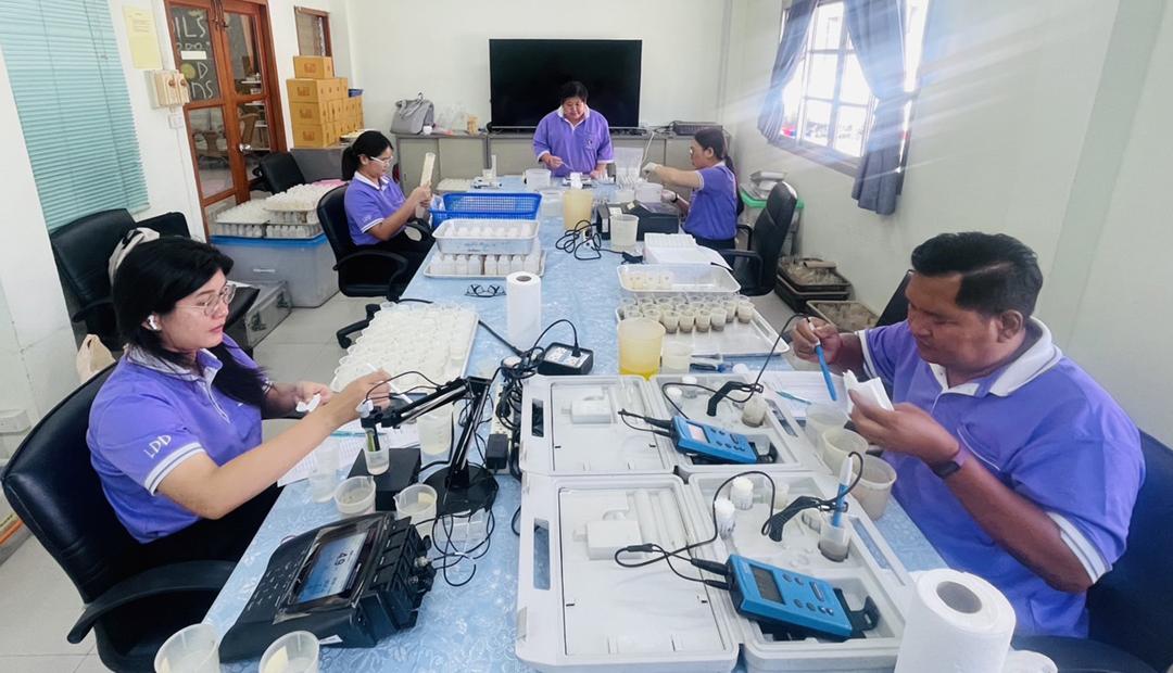 ภาพประกอบที่ 6