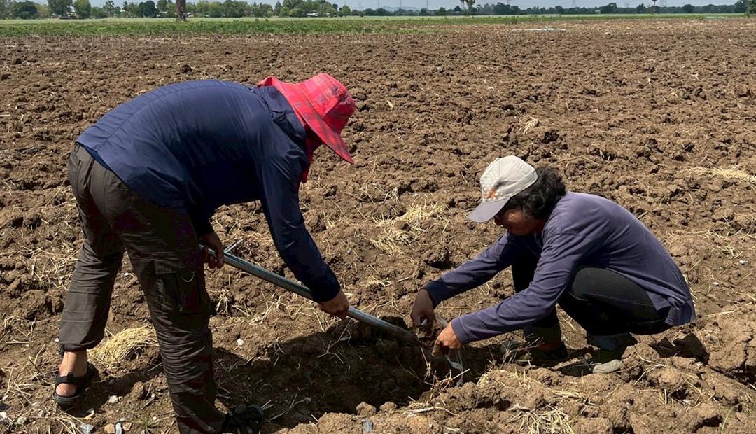 ภาพประกอบที่ 0