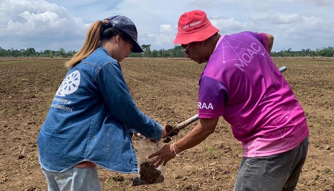 ภาพประกอบที่ 2