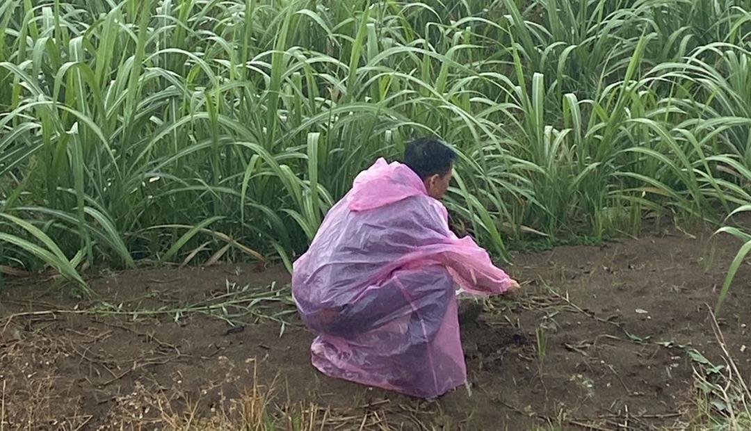 ภาพประกอบที่ 3