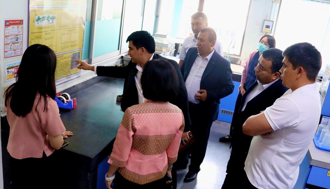 ภาพประกอบที่ 5