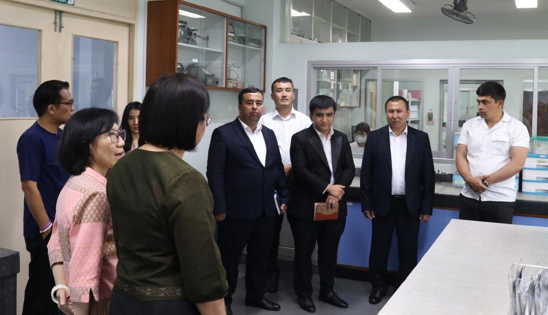 ภาพประกอบที่ 12