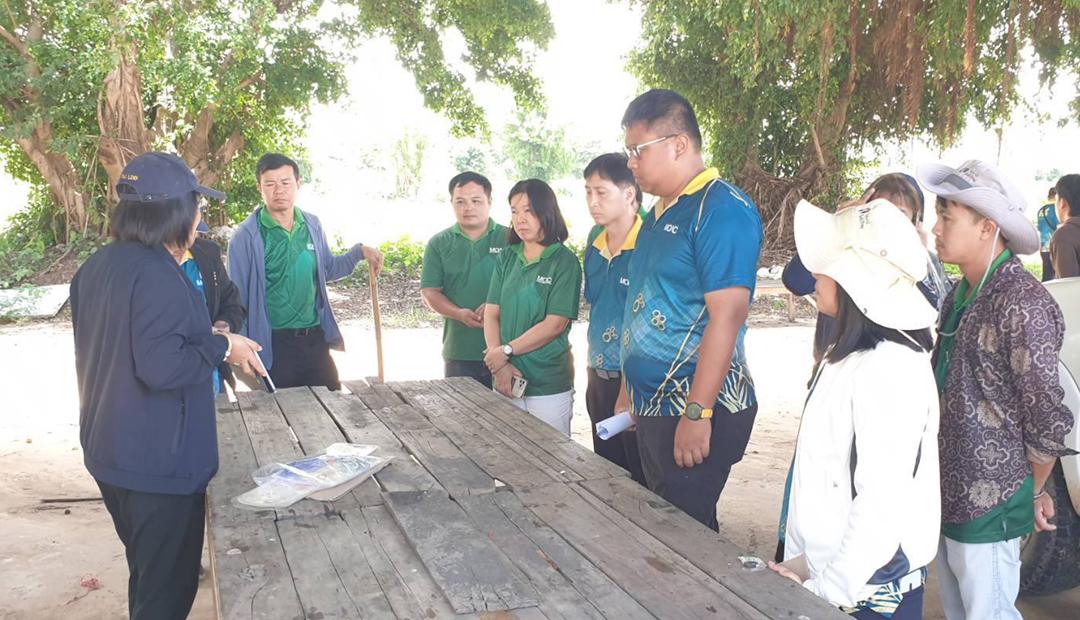 ภาพประกอบที่ 2