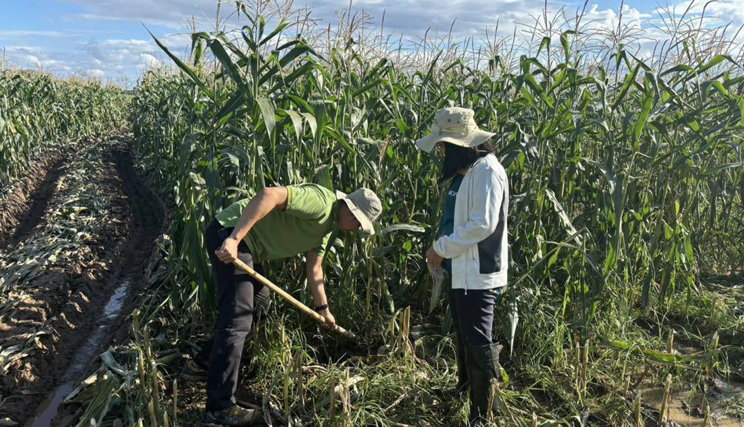 ภาพประกอบที่ 3