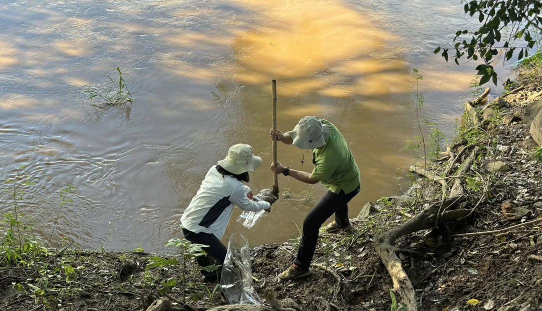ภาพประกอบที่ 4