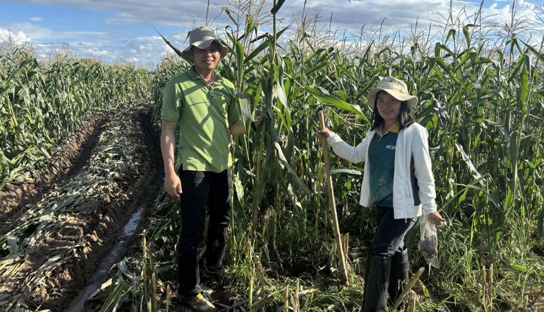 ภาพประกอบที่ 5