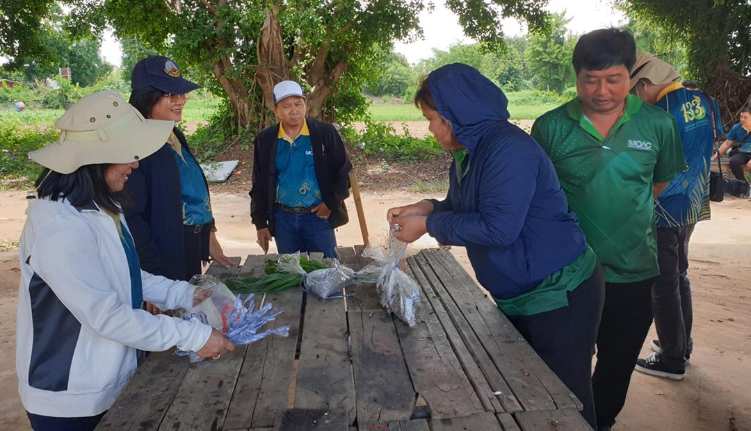 ภาพประกอบที่ 10