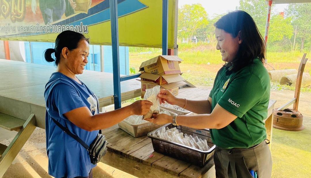 ภาพประกอบที่ 8