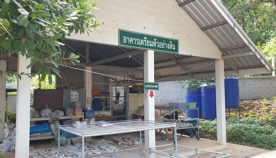 ภาพประกอบที่ 7