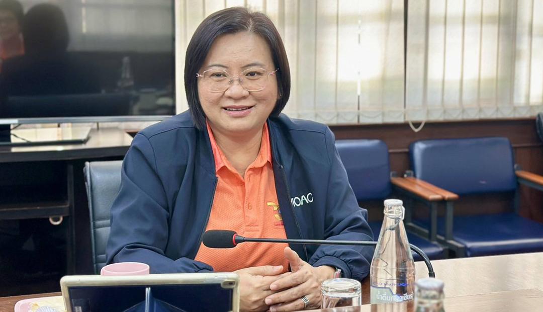 ภาพประกอบที่ 0