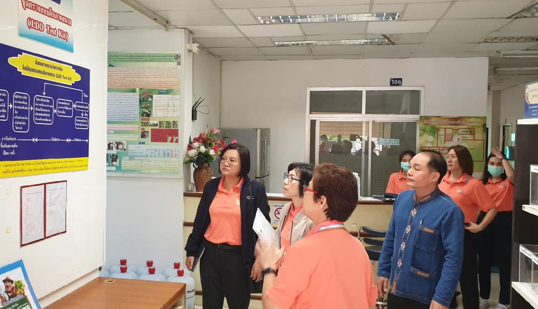 ภาพประกอบที่ 4