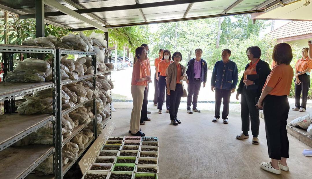 ภาพประกอบที่ 11