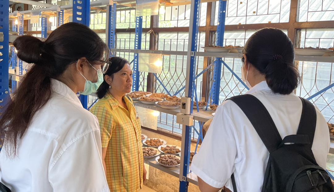 ภาพประกอบที่ 6