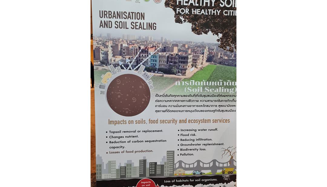 ภาพประกอบที่ 6