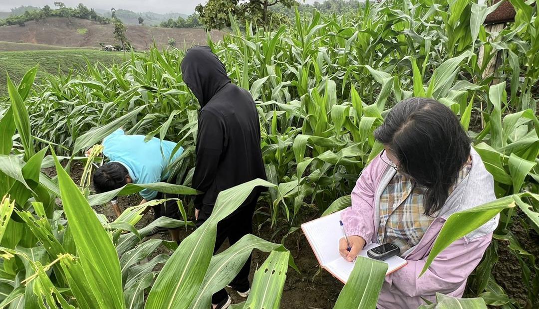 ภาพประกอบที่ 2