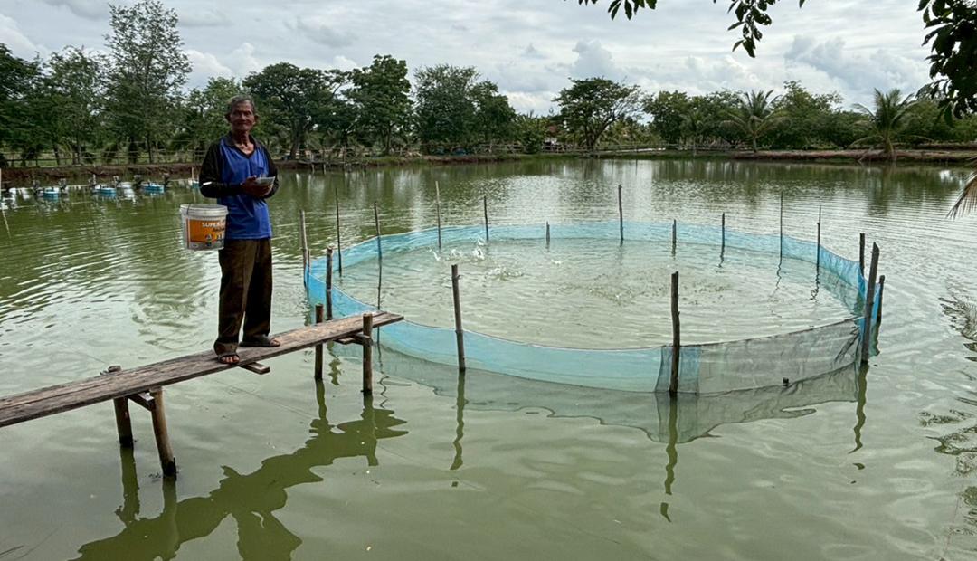 ภาพประกอบที่ 0