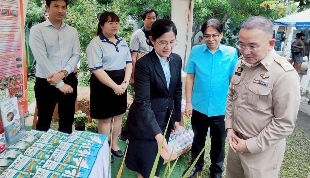 ภาพประกอบที่ 6