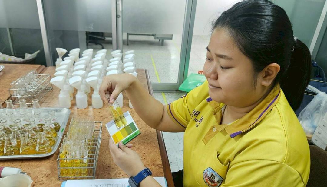 ภาพประกอบที่ 5