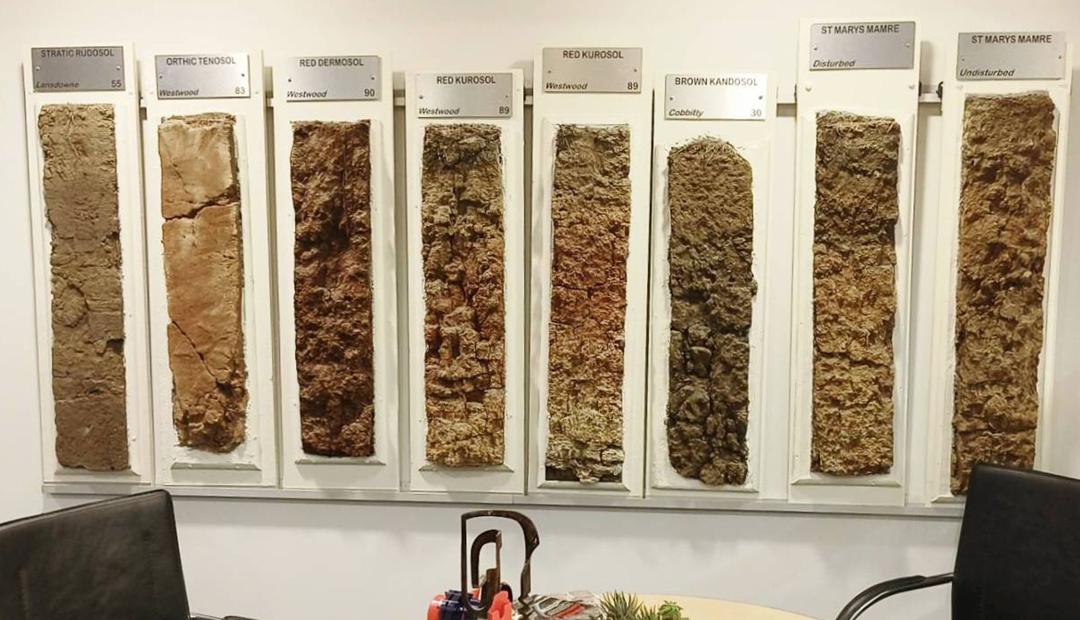 ภาพประกอบที่ 5