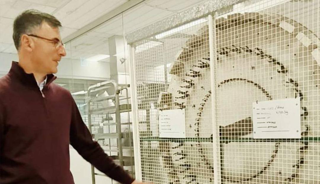 ภาพประกอบที่ 6