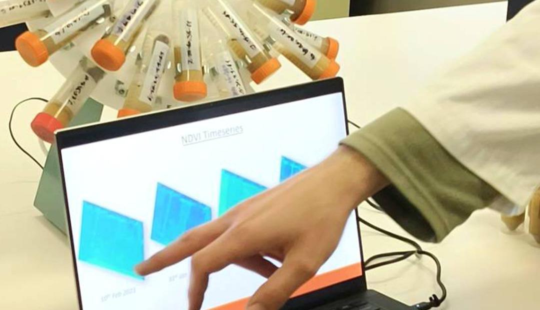 ภาพประกอบที่ 8