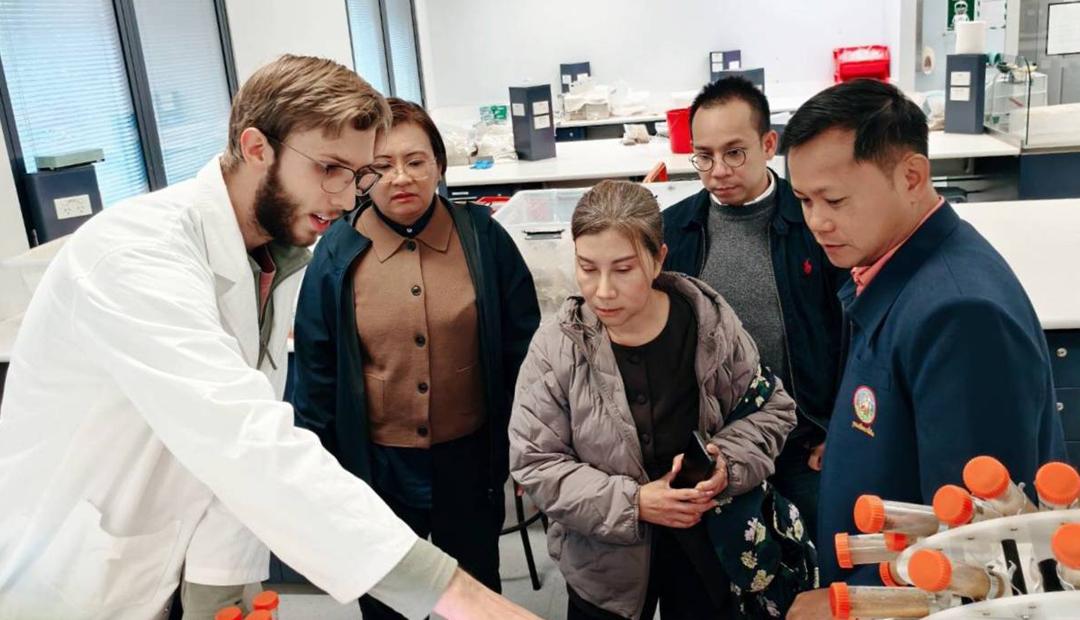 ภาพประกอบที่ 9