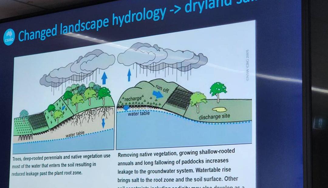 ภาพประกอบที่ 6