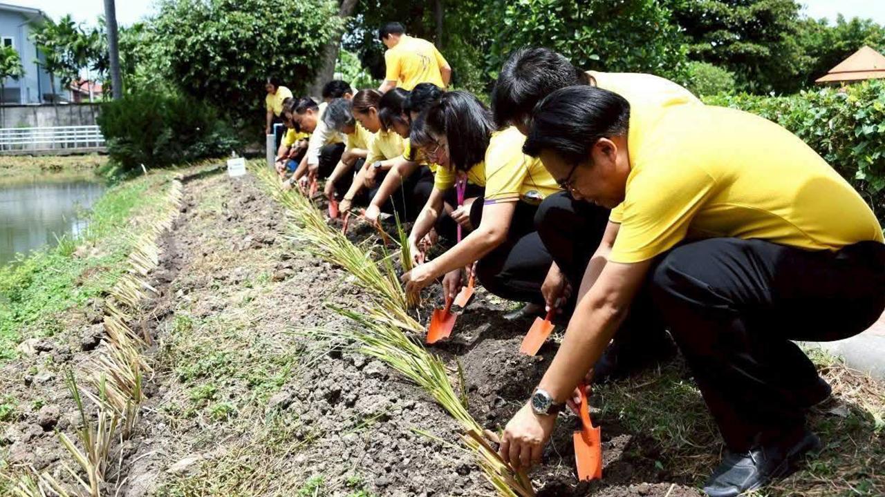 ภาพประกอบที่ 3