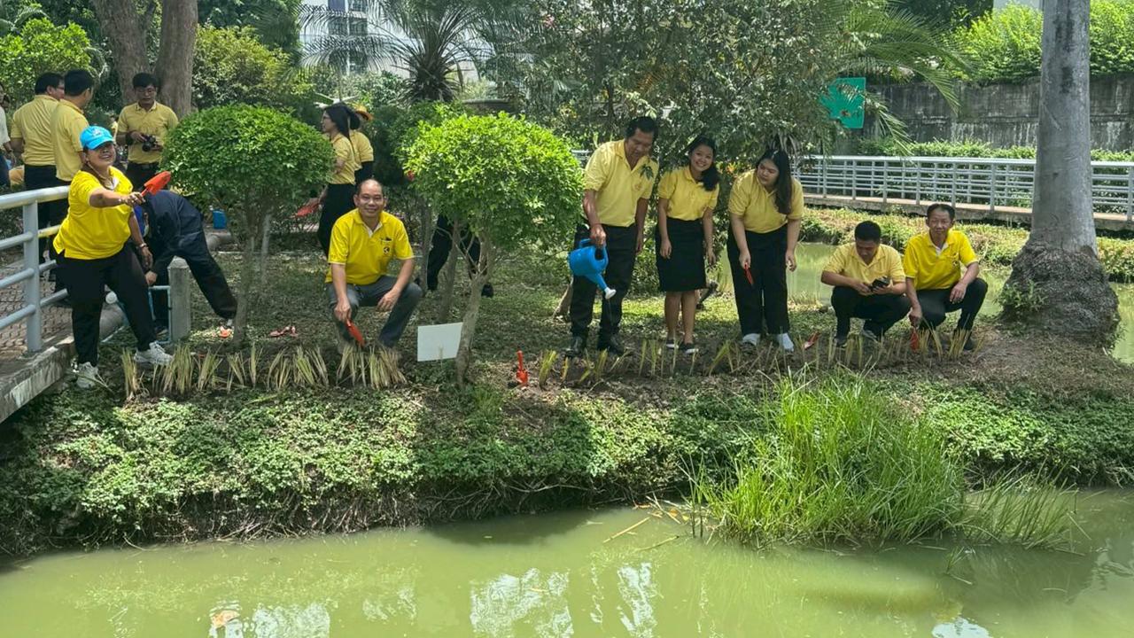 ภาพประกอบที่ 7