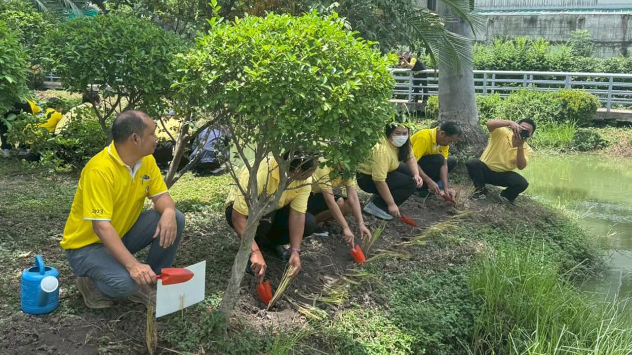 ภาพประกอบที่ 9